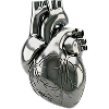 Main Focus Image 1